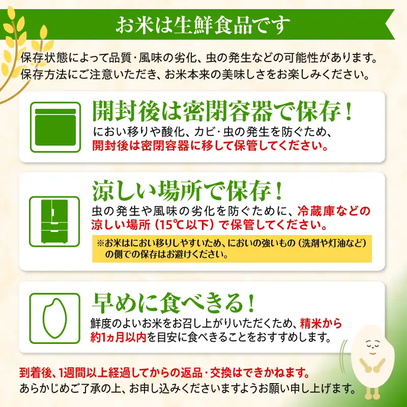 《令和7年産》《無洗米》宮崎県産こしひかり 合計8kg(2kg×4袋) 無洗米 精米 新米