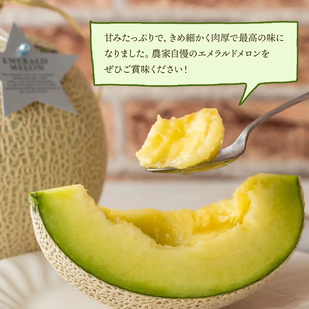 【２回定期便】夜須のエメラルドメロン 1玉 テレビ朝日「ザワつく!金曜日」で特集 紹介 くだもの フルーツ ギフト マスクメロン 青肉 ブランド ギフト 贈答用 ご褒美 高級 1個 お礼 御祝 産地直送 JA 高知県農業協同組合 香南市 常温 Wyu-0057