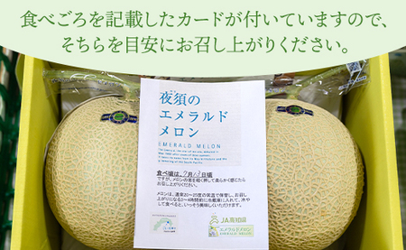 【２回定期便】夜須のエメラルドメロン 2玉 テレビ朝日「ザワつく!金曜日」で特集 紹介 くだもの フルーツ ギフト マスクメロン 青肉 ブランド ギフト 贈答用 ご褒美 高級 1個 お礼 御祝 産地直送 JA 高知県農業協同組合 香南市 常温 Wyu-0060