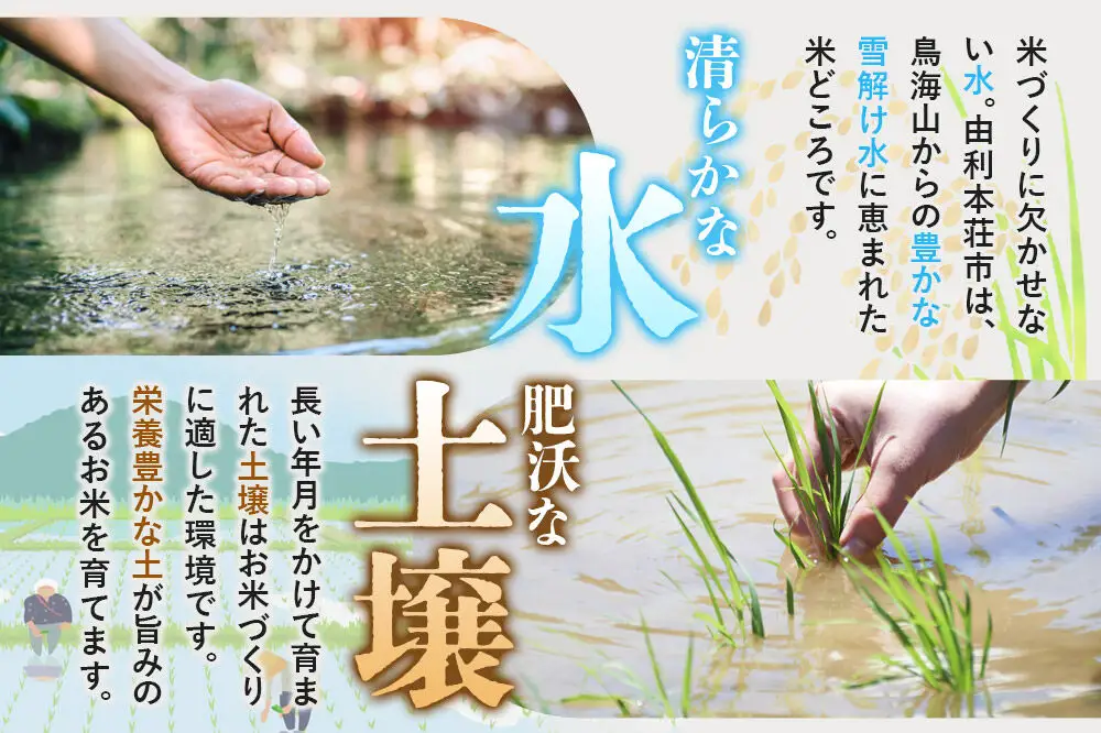 《令和8年産 新米受付》《定期便2ヶ月》【白米】極上秋田銘柄米 ひとめぼれ 5kg