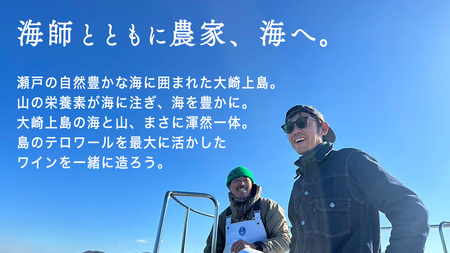 海底貯蔵 ワイン 「海底貯蔵 エヌ by Vignoble de NAKA rouge MBA」【2026年6月以降発送】