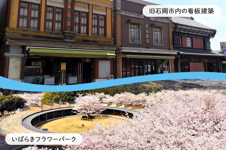 【応援寄附】茨城県石岡市　返礼品なしのご寄附　5.000円 茨城県 石岡市 G19-003
