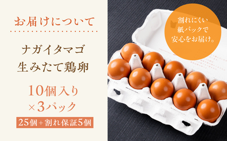 産みたてたまご 30個 ( 割れ保証込み 25個 ＋ 5個 ) 卵 たまご ナガイタマゴ 鶏卵 卵かけごはん 海苔 エサ 赤玉 パック 赤鶏 卵かけご飯 玉子焼き 玉子 国産 新鮮 小分け パック ギフト