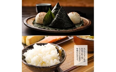【7営業日以内発送】令和7年産 無洗米 長崎 にこまる 900g  ／ 備蓄 備蓄米 災害対策 キャンプ飯 長期保存 お米 米 ご飯 ごはん 九州 長崎県 長崎市