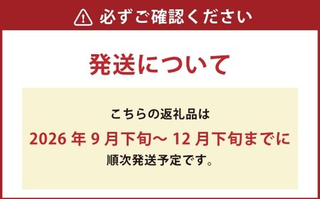 浦臼産 にんにく 約2kg  ニンニク 薬味 ガーリック 野菜 国産 北海道 浦臼町 【2026年9月上旬～2026年12月中旬発送予定】