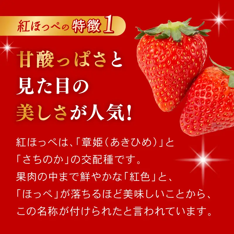 大河原町のいちご 完熟いちご 2パック 果物 フルーツ 苺 紅ほっぺ かおり みずみずしい ジューシー 期間限定 季節限定 家庭用
