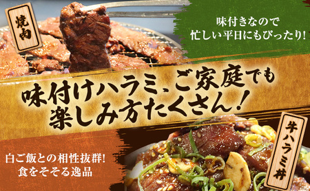 アメリカ産タレ漬け牛ハラミ 8～12人前 300g×4 牛肉 焼肉 焼き肉 アウトドア BBQ