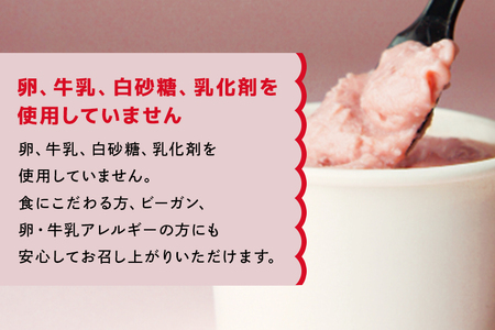 いちごの豆乳アイス 110ml 6個 アイス アイスクリーム いちご イチゴ 苺 豆乳 味 風味 岐阜県 川辺町 A06-012