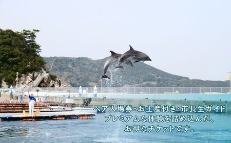 イルカ体験【お土産付】 市長が案内する「つくみイルカ島」 ペア入場券