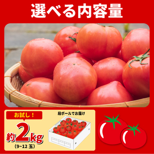 大玉トマト 2kg 【徳島県産】| トマト