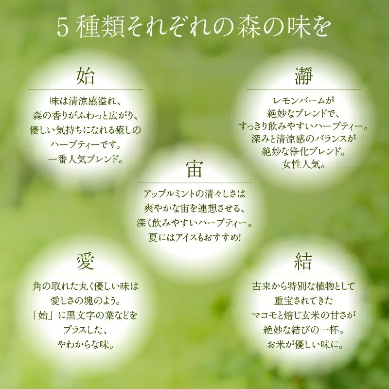 森林浴茶 ティーパック 5種セット ハーブティー ノンカフェイン お茶 紅茶 89-01