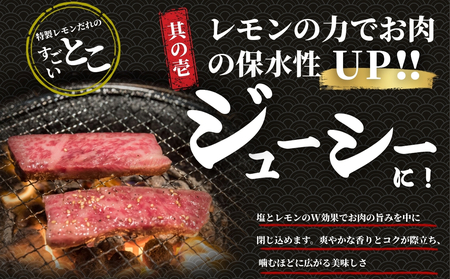 厳選国産牛 カルビ焼肉 瀬戸内レモンだれ付き 500g | 国産牛 牛肉 お肉 カルビ バラ 焼肉 BBQ 霜降
