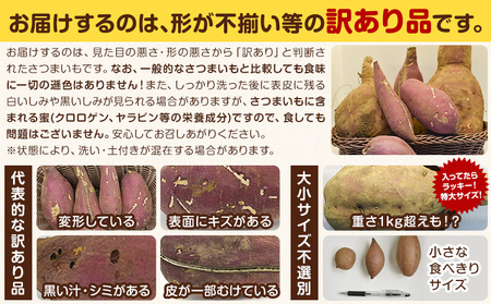 先行予約 訳ありさつまいも約10kg《2026年9月中旬-2027年2月末頃出荷》紅はるかシルクスイート