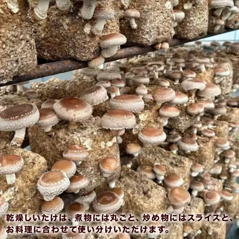ノウフクJAS認証 唐津市産 乾燥きくらげ 乾燥しいたけセット