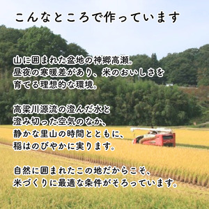 【令和7年産】新見庄米 コシヒカリ 玄米 20kg （10kg×2袋）
