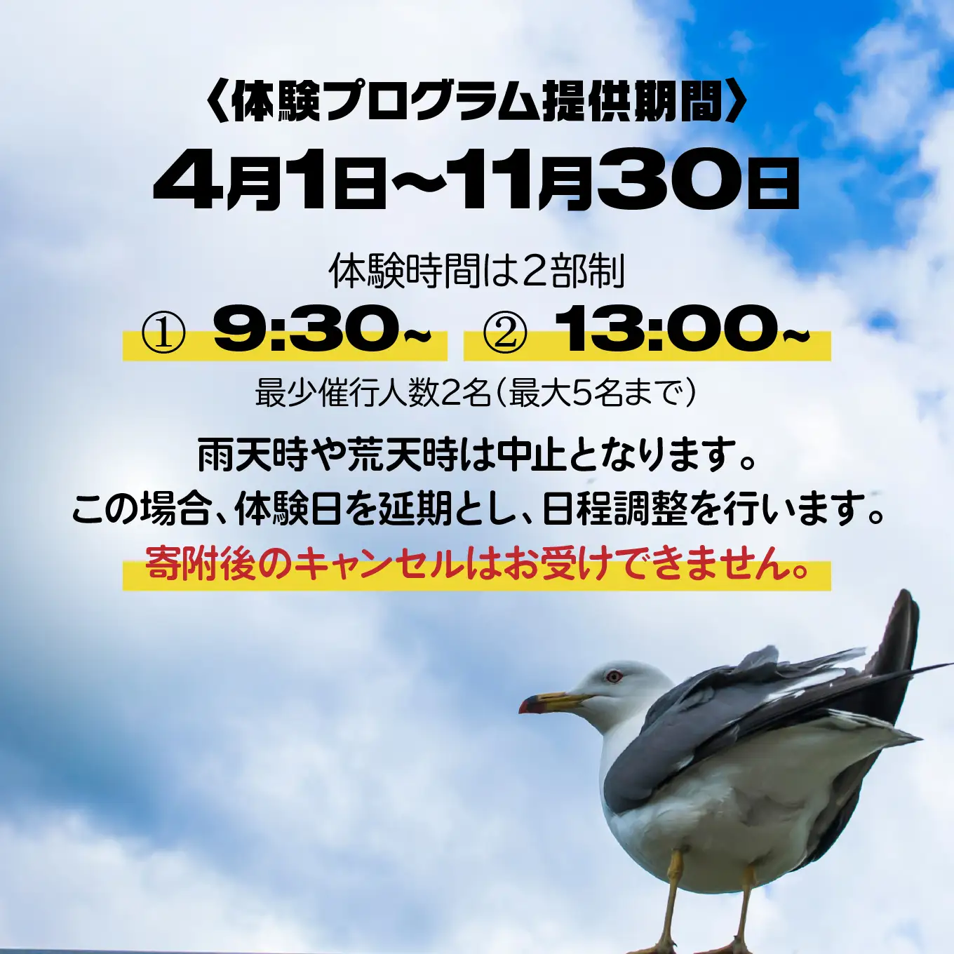 カイタック（OUTDOORBOX RIVERRUNS） 三陸ジオパーク・蕪島でSUP体験 アクティビティ チケット 青森県 八戸市