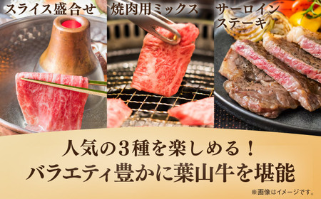 【隔月定期便全3回】葉山牛 まんぷく定期便 牛肉(スライス盛合せ・焼肉用ミックス・サーロインステーキ) 食べ比べ[ASBD060]