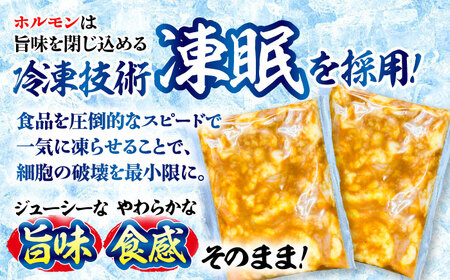 黒毛和牛ホルモン 味噌 600g （300g×2袋） [AZCW053] 黒毛和牛