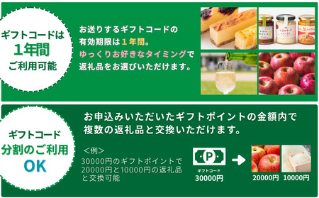あとからセレクト 【ふるさとギフト】 ギフトポイント 寄附額 11000円分 あとから選べる返礼品 長野県 飯綱町 [2046]