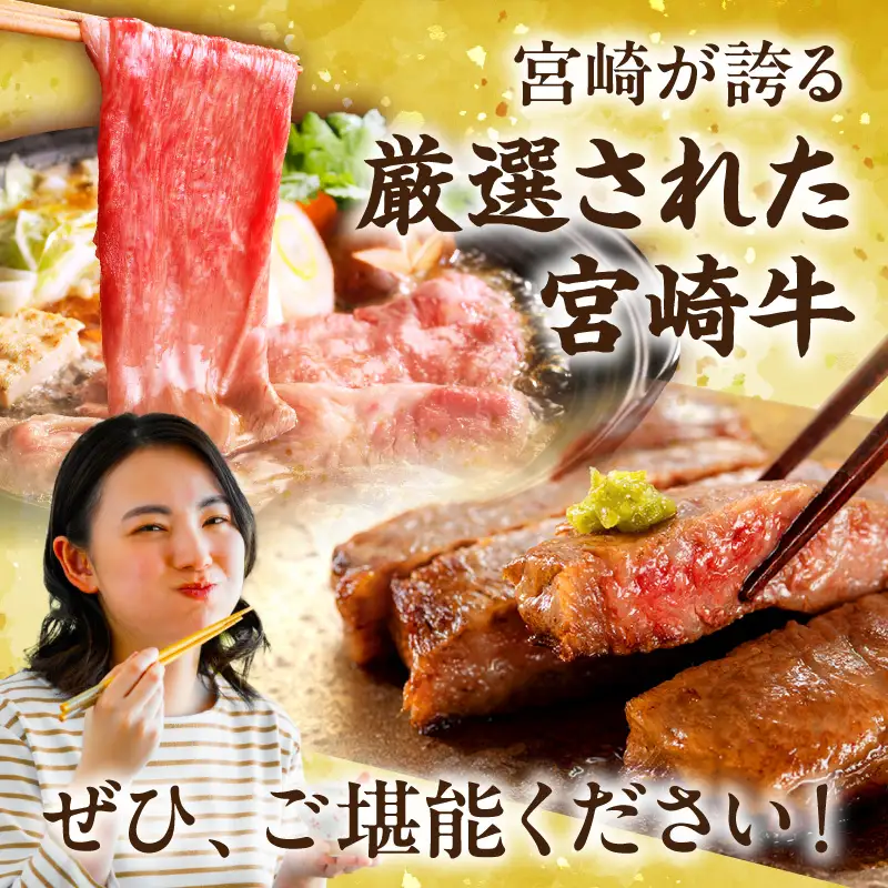 【全12回定期便】宮崎牛プレミアムセレクション 宮崎牛 ロース ステーキ モモ肉 ウデ スライス ミスジ 希少部位 バラ 焼肉 焼き肉 定期便 12回 ブランド牛 国産