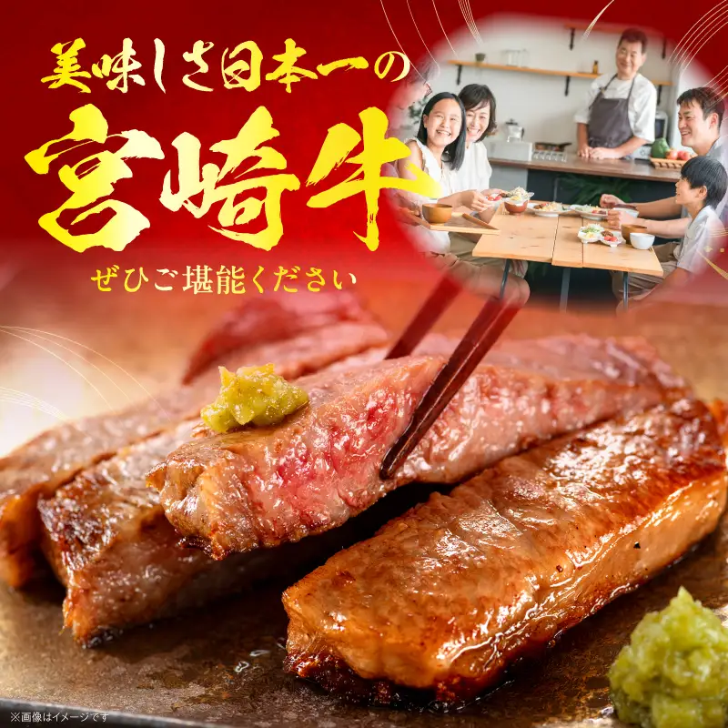 【全12回定期便】宮崎牛グランドセレクション 三角バラ 希少部位 焼き肉 焼肉 ペッパーハンバーグ ハンバーグ モモ肉 ステーキ ウデ スライス ロース バラ肉 ミスジ ヒレ 定期便 12回 国産 宮崎牛