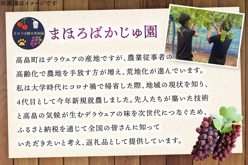 100% ぶどう ジュース 1L 6本 セット [まほろばかじゅ園 山形県 高畠町 tk06bim610000]