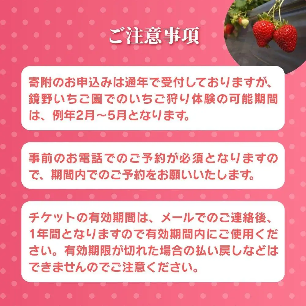鏡野町まほらファーム いちご狩りご招待券（1名様）【2026年2月～5月】【029-a016】