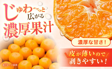 【2回定期便】※【2026年シーズン発送／先行予約】フルーツ定期便 シャインマスカット 約1.3kg(2房から3房) / 温州みかん(10kg) 家庭用 / フルーツ フルーツ定期便 果物定期便 シャインマスカット みかん / 諫早市 / 肥前グローカル株式会社[AHDI012]