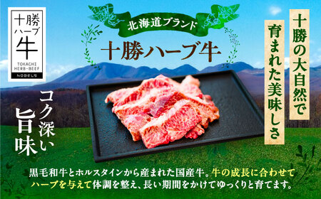 北海道 十勝 ハーブ牛 ハラミ サガリ 焼肉 200g 《足寄町》【株式会社ノベルズ食品】[BEAQ022]