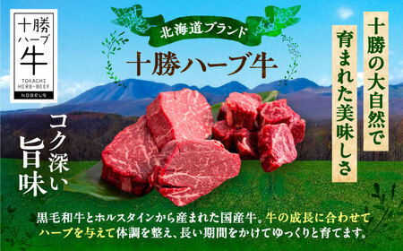 北海道 十勝 ハーブ牛 ヒレステーキ セット 1.5kg  （ミニステーキ300ｇ+コロコロステ ーキ200ｇ）×3 《足寄町》【株式会社ノベルズ食品】[BEAQ061]