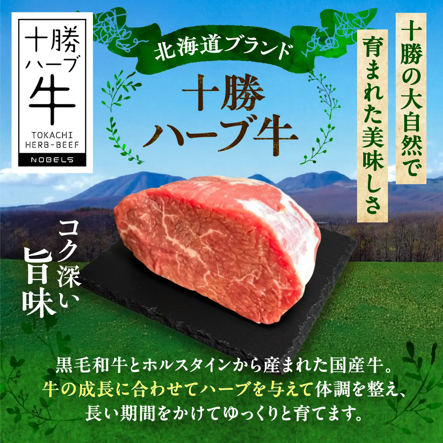 北海道 十勝 ハーブ牛 ローストビーフ 赤身肉 900g 【簡単レシピ付き】 《足寄町》【株式会社ノベルズ食品】[BEAQ068]