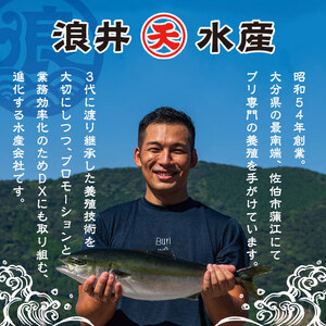 天薫 ぶり藁焼き (約170g×4個) 鰤 ぶり ブリ 魚 鮮魚 炙り あぶり たたき 旬 国産 おかず お弁当 簡単調理 数量限定 大分県 佐伯市 特産品【GS007】【浪井丸天水産】