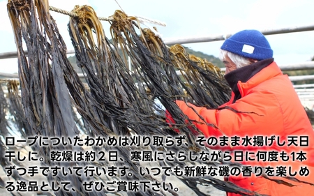▼紀州衣奈産乾燥わかめ 150g × 8パック(2026年産) /わかめ 海草 和歌山 国産 味噌汁 具材【sml213-wak-8】