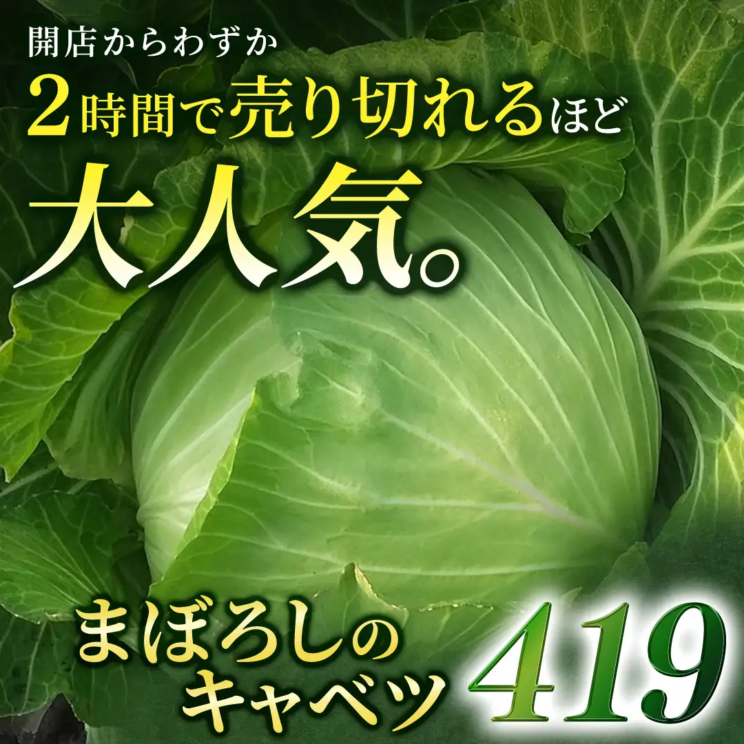 【ふるなびWEEK対象】＜レビューキャンペーン開催中＞＜7月中旬発送開始＞ 【 特選 】 まぼろしの419キャベツ 4玉 [AL021tu]