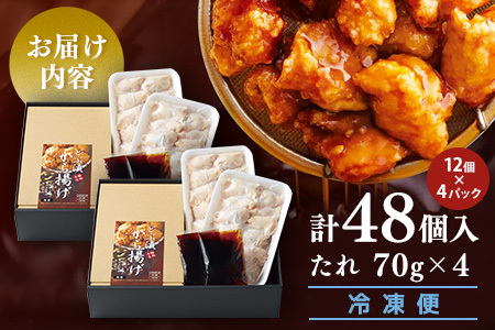 佐賀県産みつせ鶏 どぶ漬から揚げ(2箱) K059039