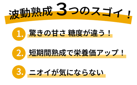 【定期便3回】 波動熟成 黒にんにく 6個セット