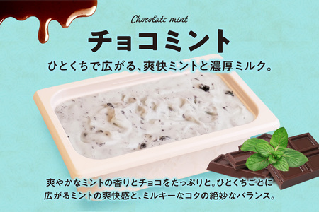 951アイスクリーム　バルクアイス2L×１個（チョコミント） | アイス スイーツ 北海道 札幌市