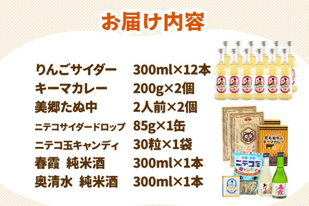 炭酸飲料 りんごサイダー12本と美郷の美味しいものセット