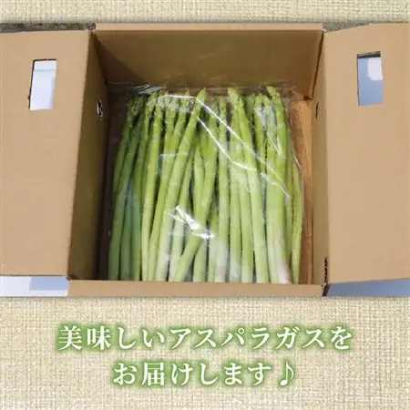【先行受付】2026年産夏芽 数量限定 アスパラガス 1kg M～Lサイズ 京都府久御山町産 朝採り【配送不可地域：離島】【1701542】
