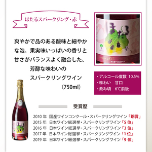 滝沢市 × 葛巻町 共通返礼品 滝沢りんごワイン ポムシードル ＋ ほたるスパークリング・赤 各 750ml セット 【岩手くずまきワイン】 ワイン スパーリングワイン シードル 飲み比べ お酒 酒 アルコール りんご 林檎 リンゴ アップル ブドウ ぶどう 葡萄 グレープ 山葡萄 ギフト プレゼント 人気 オススメ おすすめ