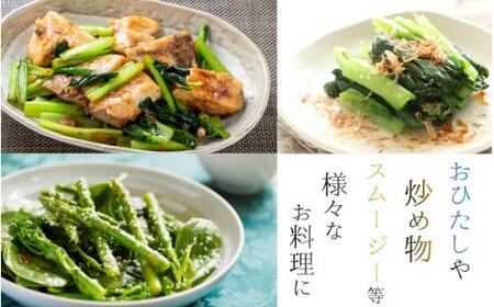 奈良県産 小松菜 約10kg  【順次発送】 葛城市【smlk063】