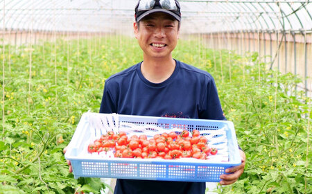 赤いチェリートマトジュース180ml×5本 島根県松江市/有限会社安藤農園[ALID001]