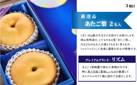 桃、ぶどう、梨の最上級品を旬にお届けする3回便！ (定期便)(岡山県産) 【KF-T033-01】