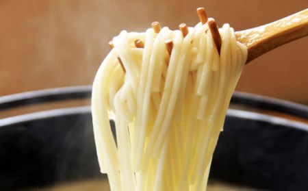 手延べうどん あごだしスープ付  2種  計20食 / 手延べうどん うどん ウドン 饂飩  麺 めん 乾麺  / 南島原市 / ふるせ [SAQ039]