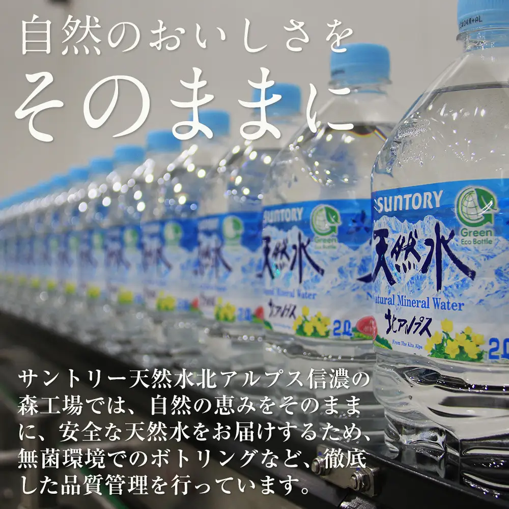 【定期便／全3回（毎月お届け）】サントリー 天然水 北アルプス 1L ペットボトル（12本入り×1ケース）| 水  サントリー 定期便