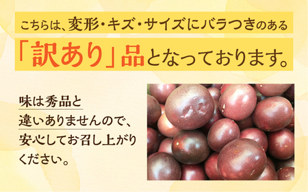 パッションフルーツ 約3kg 業務用 規格外 国産
