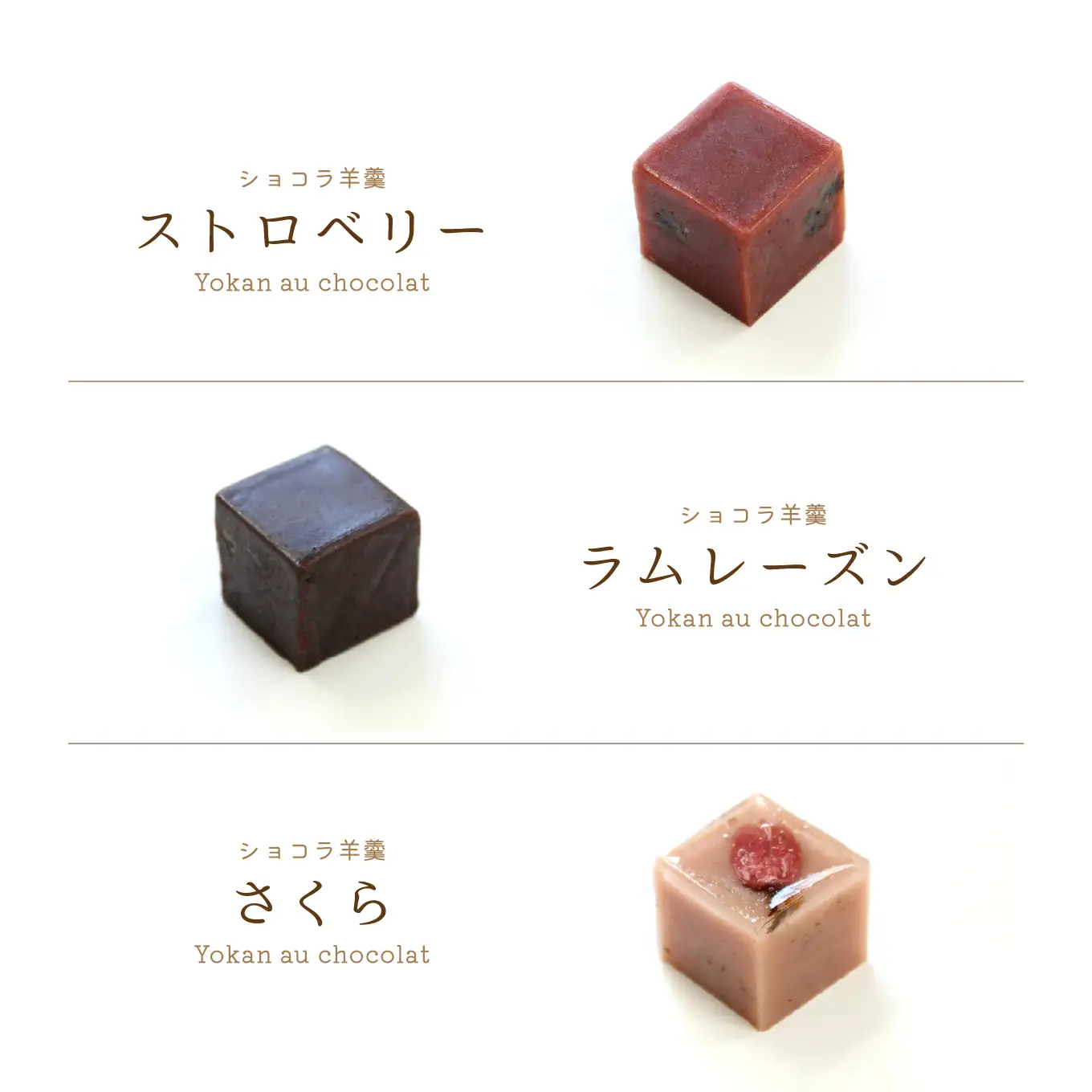 かねご製餡 匠あんこ堂 Yokan au chocolat & Yokan au fromage Iset 新感覚 羊羹 ショコラ ７種 フロマージュ ２種 合計９種 セット チョコレート 白あん 青森県 八戸市