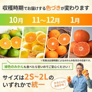 タカじいの 有田 みかん 3kg （良品 サイズおまかせ2S～2L） / 温州みかん 有田みかん 甘い 家庭用 和歌山 柑橘 ※1月順次発送【krs004-c-3-1A】