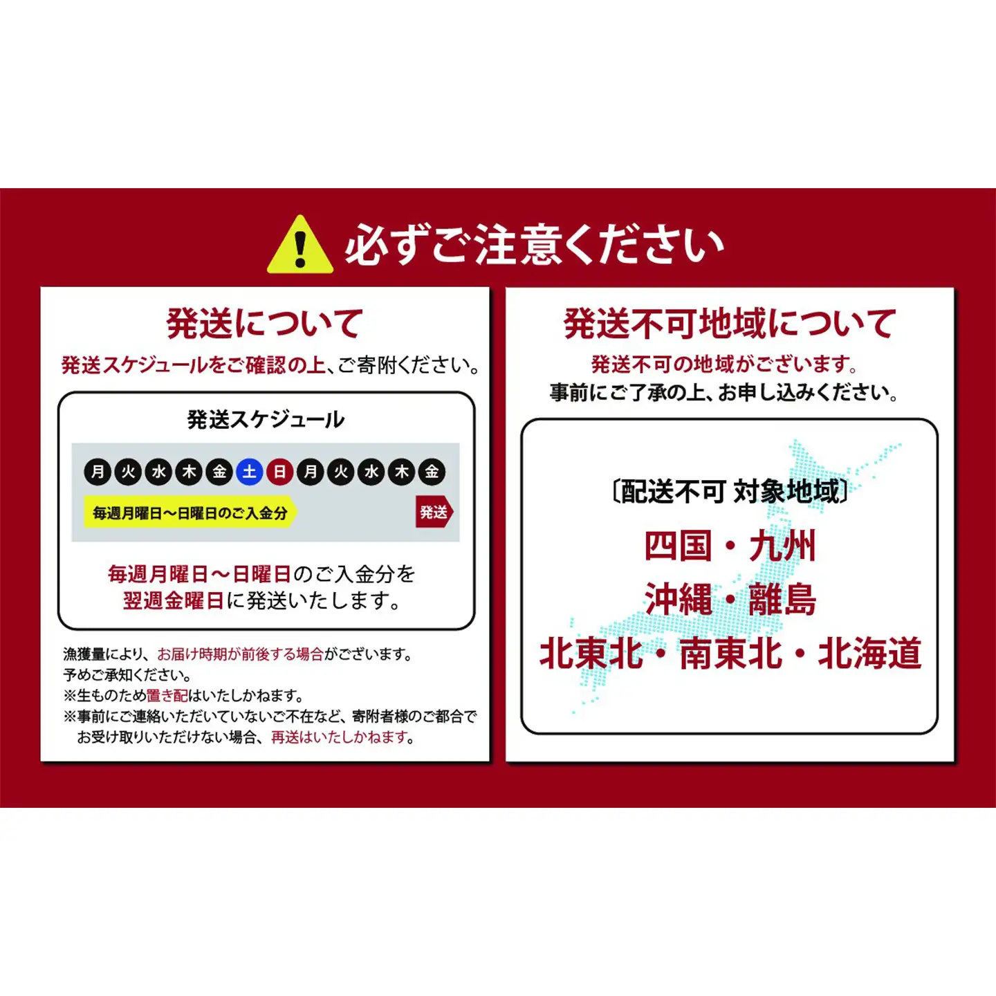 サーモン 冷凍 8～9P 約2kg サーモン