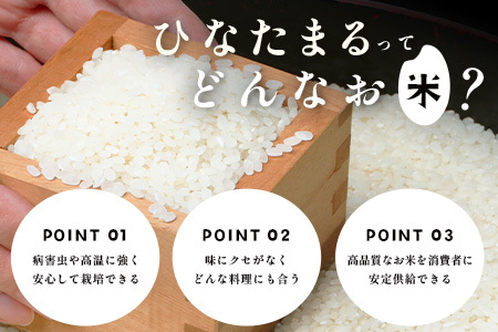 ひなたまる10kg(5kg×2)白米｜特別栽培米【ひなたまる 令和7年誕生 新ブランド米】【生産者直送】幸せと笑顔を届ける元氣のお米｜佐賀県特別栽培農産物｜化学農薬・化学肥料不使用｜新米 精米 有機肥料 佐賀県 鹿島市 E-176